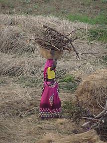 Rural Life near Bodh Gaya (3)