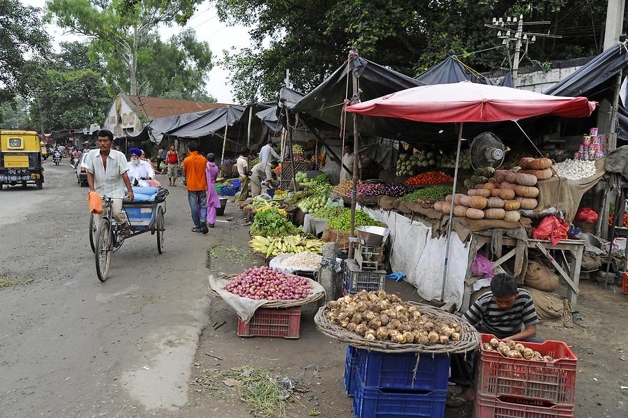 Dhariwal - Market