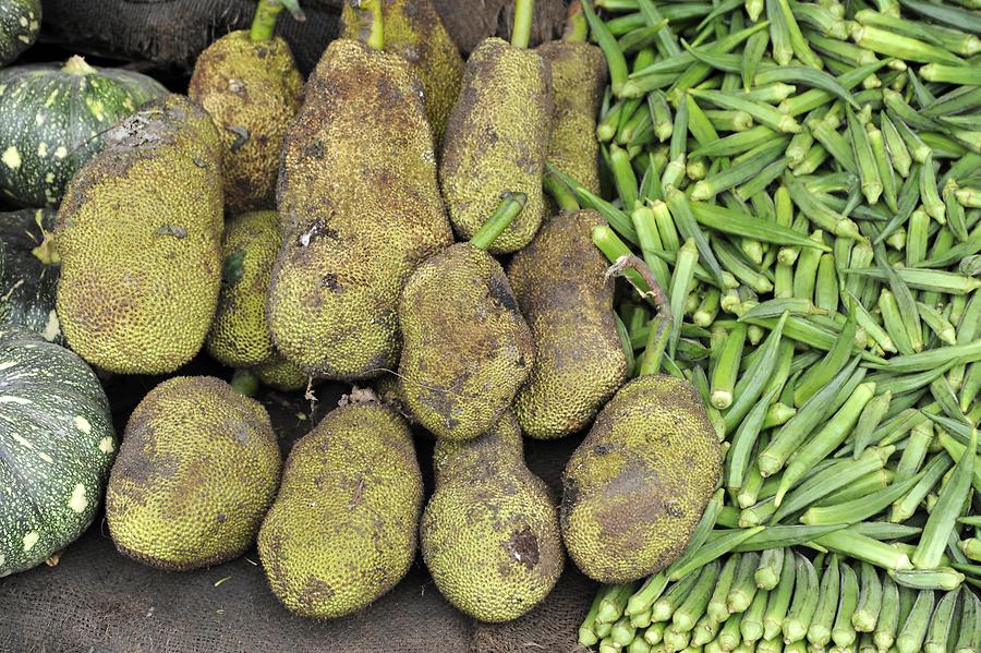 Dhariwal - Market; Jackfruit