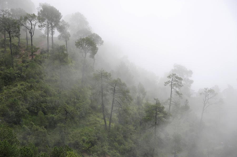 Landscape near Dharamsala