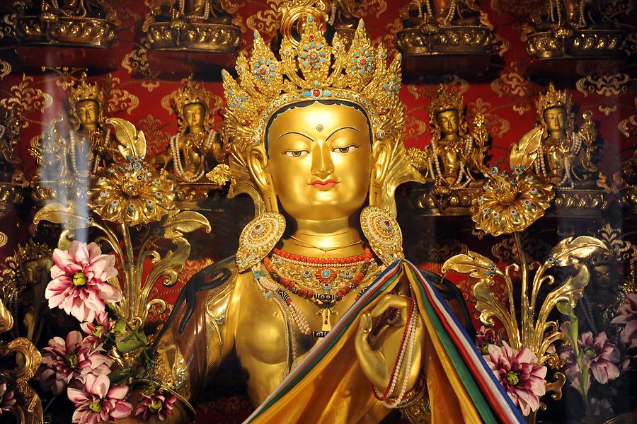 McLeod Ganj - Namgyal Monastery; Buddha Statue