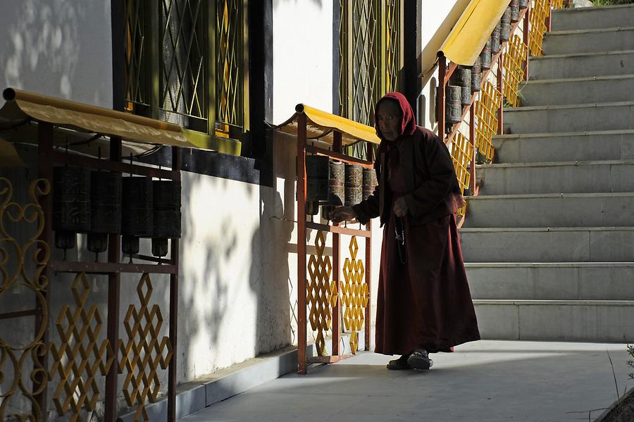 Kardang Monastery - Nun