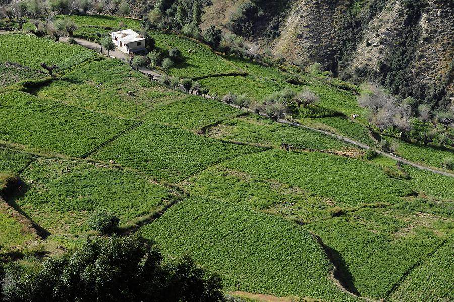 The Valley near Keylong