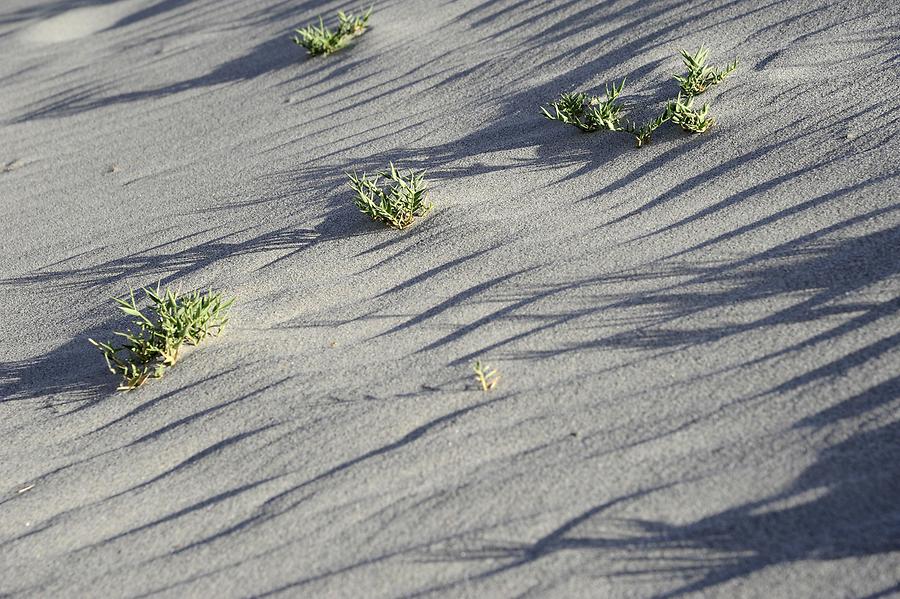 Sand Dunes near Hundar