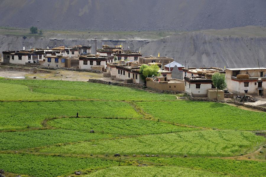 Spiti Valley - Tibetan Village