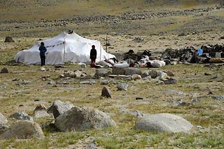 Tso Kar Plateau - Nomads (1)