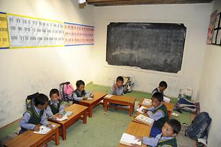 Puga - School (1)