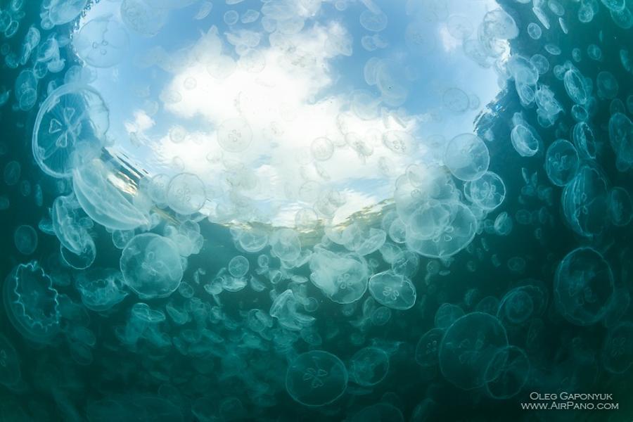 Jellyfish Bay, Raja Ampat, Indonesia, © AirPano 