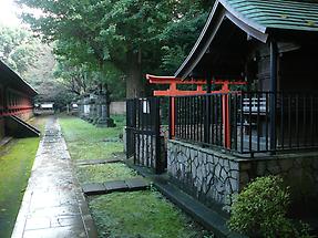 Ueno Toshogu Shrine (4)