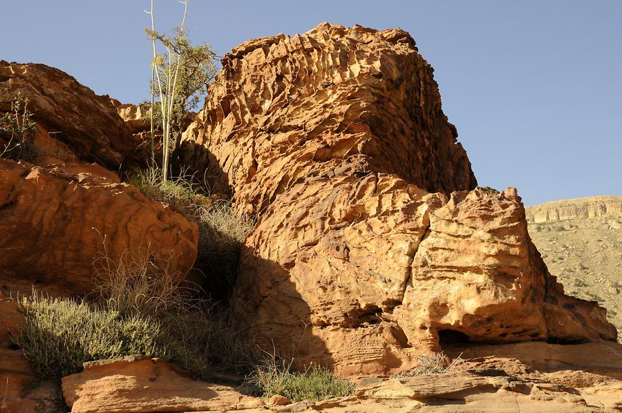 Dana Canyon