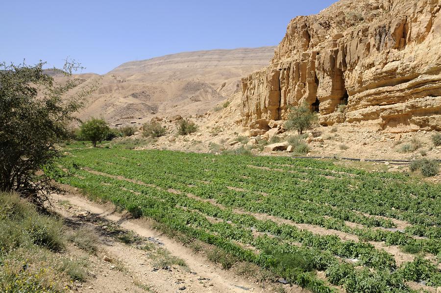 Landscape at Karak