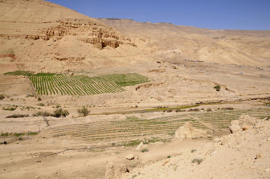 Landscape at Karak