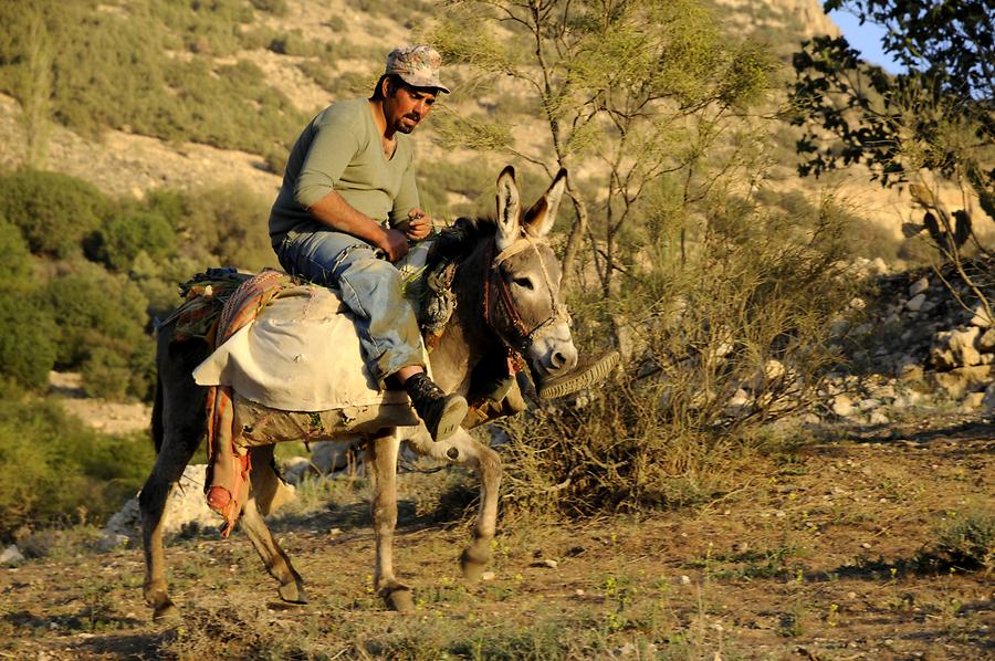 Man riding a donkey