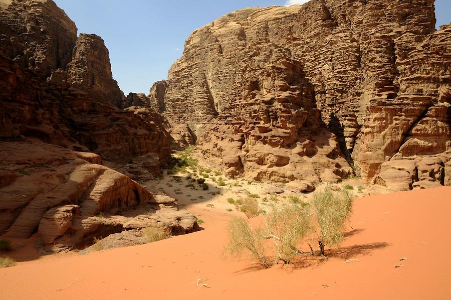 Red Dunes Wadi Rum
