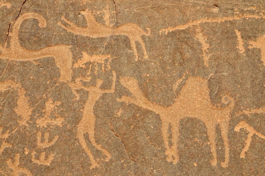 Rock carvings Wadi Rum