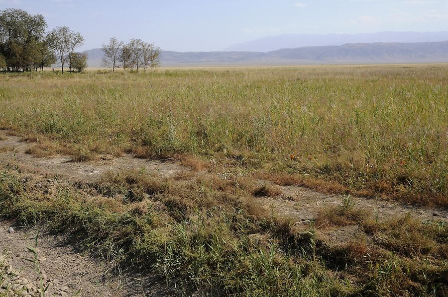 Landscape near Almaty