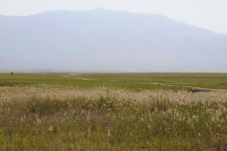 Landscape near Almaty (2)