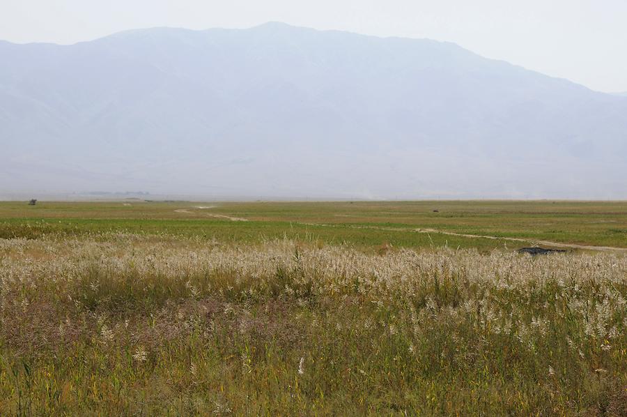 Landscape near Almaty