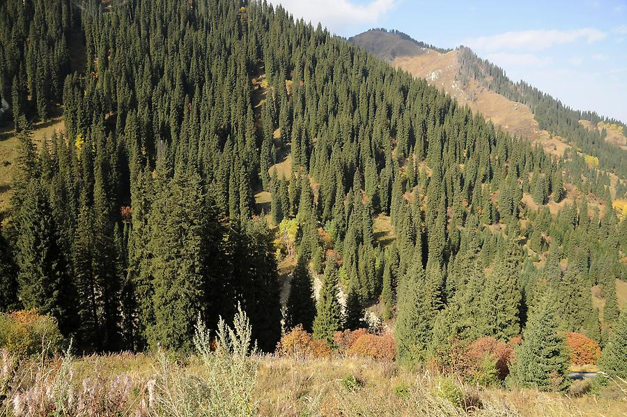 Scenery near Chimbulak