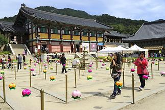 Haein Temple (1)