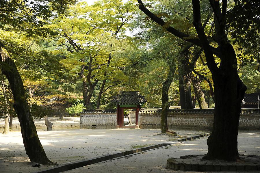 Changdeok garden(2)