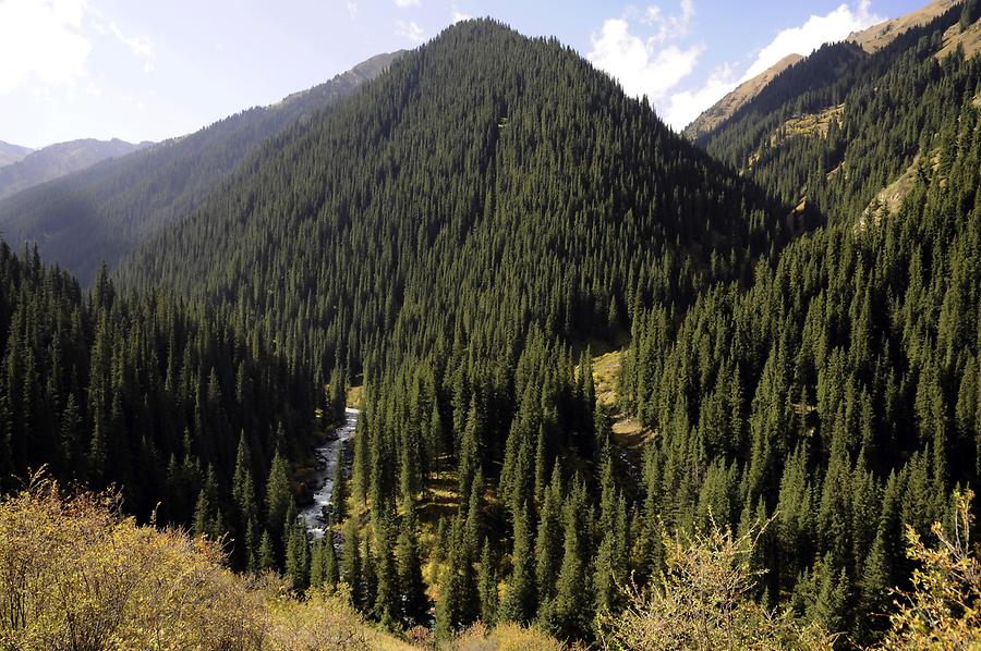 Altyn Arashan Valley