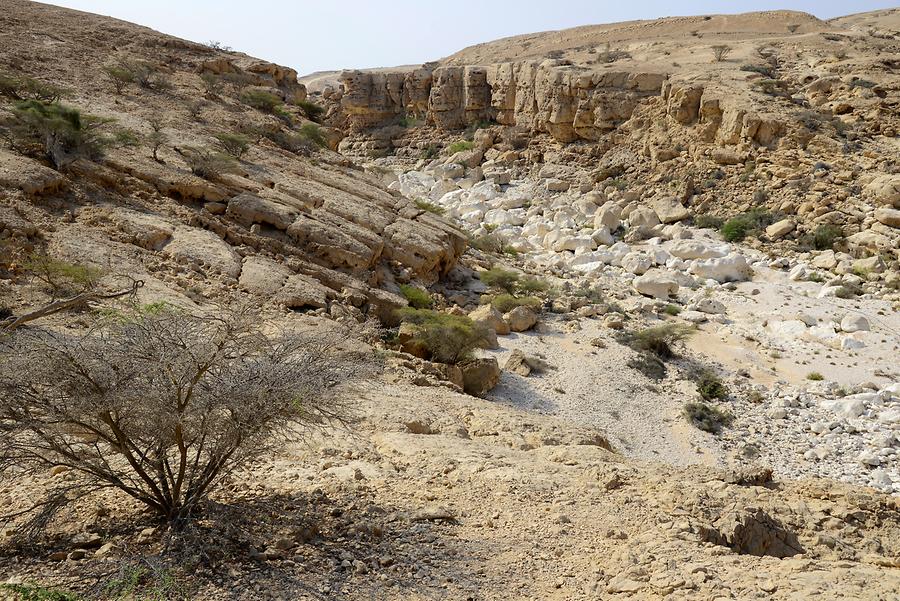 Wadi Ayoun
