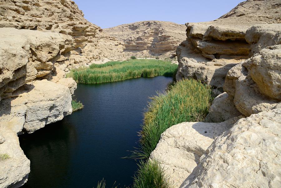 Wadi Ayoun