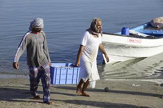 Barka - Fishermen (2)