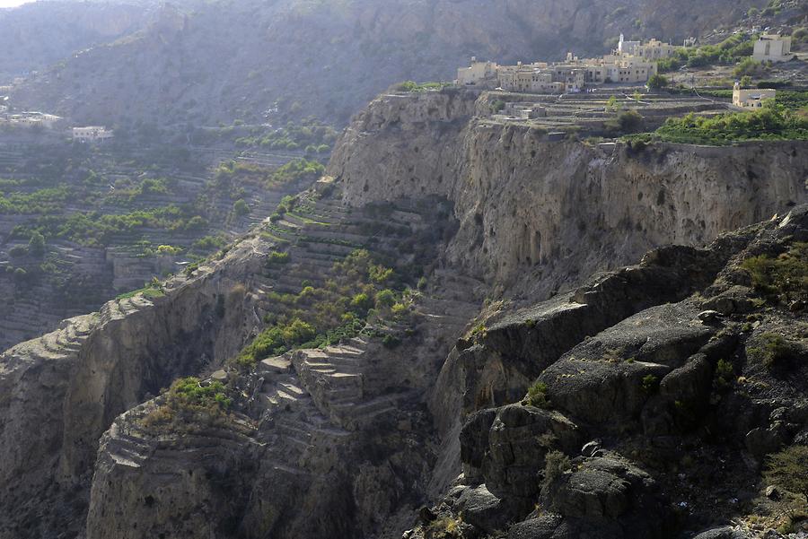 Saiq Plateau - Terraces