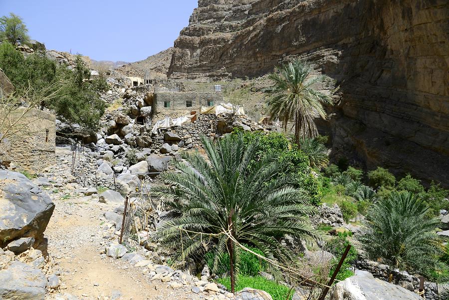 Wadi Tanuf - Oasis