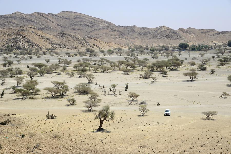 Wadi Samad