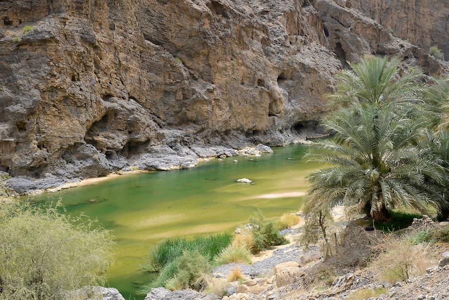 Wadi Suwayh (5) | Sur | Pictures | Oman in Global-Geography