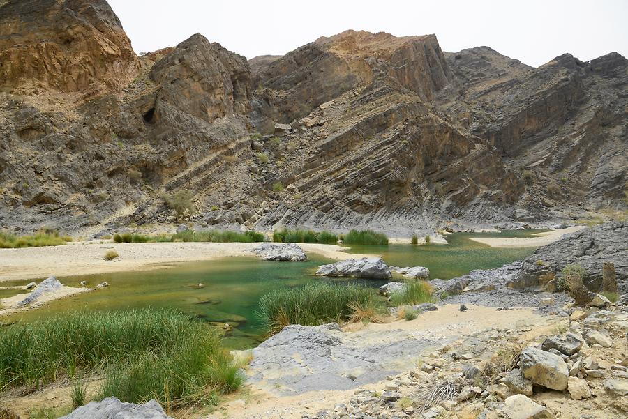 Wadi Suwayh (6) | Sur | Pictures | Oman in Global-Geography