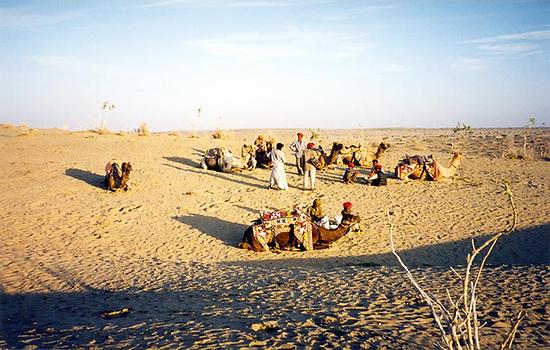 Nomads in the Thar desert, Photo: Shiva Nataraja, from Wikicommons 