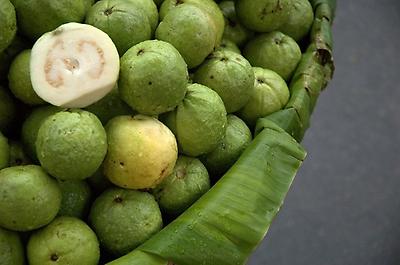 Guava, Foto source: PixaBay 