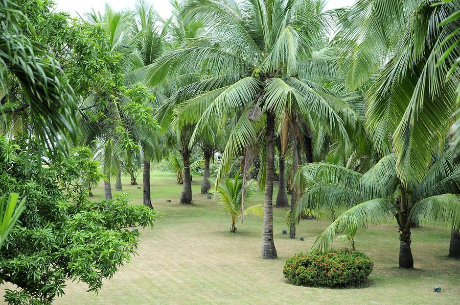 Park of the Coconut Palace Manila