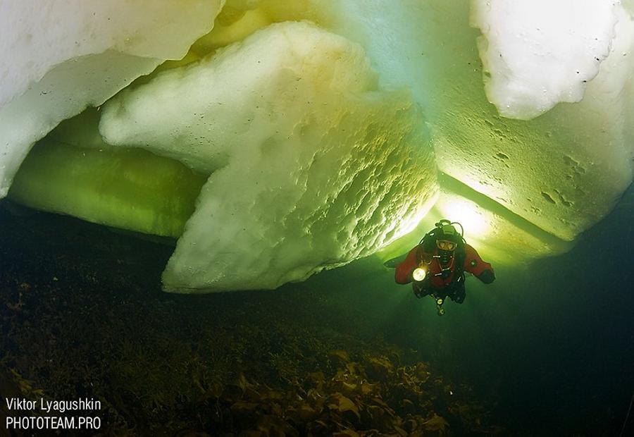 Diving under the ice in the White sea