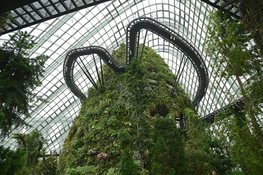 Gardens by the Bay - Conservatory 'The Cloud Forest'; Inside