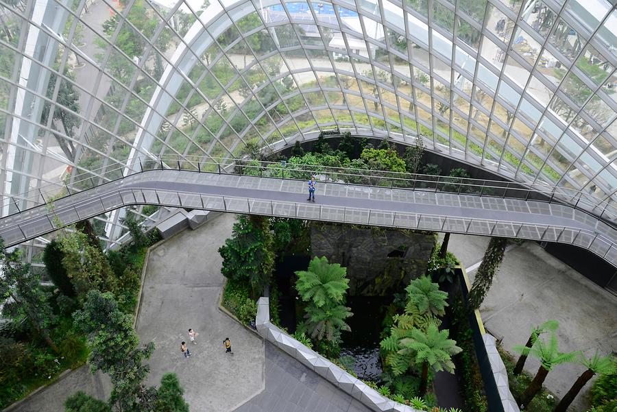 Gardens by the Bay - Conservatory 'The Cloud Forest'; Inside