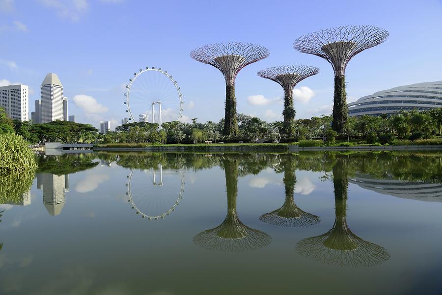 Gardens by the Bay - Supertrees