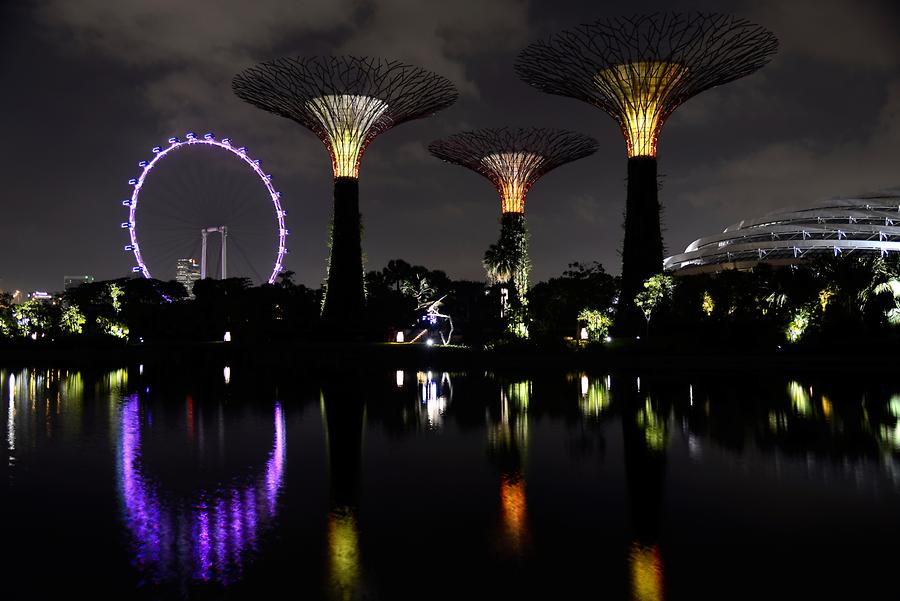 Gardens by the Bay at Night
