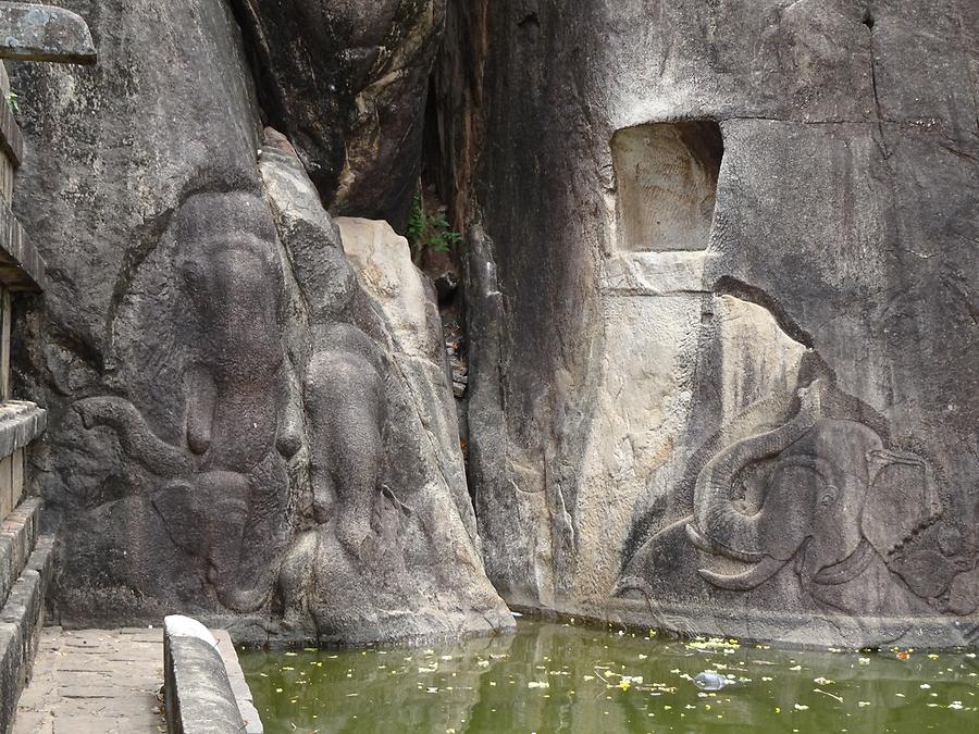 Anuradhapura - Isurumuniya Monastery; Elephant Pond Carving