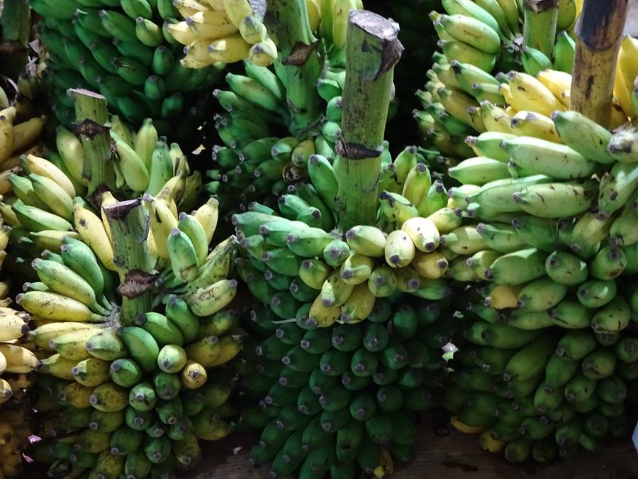 Bandarawela - Central Market; Bunches of Bananas