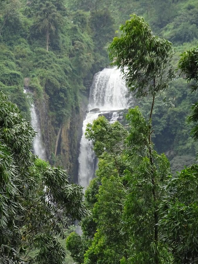 From Kandy to Nuwara Eliya - Waterfall