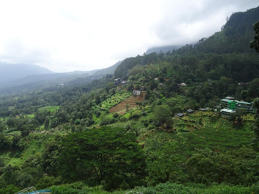 From Kandy to Nuwara Eliya