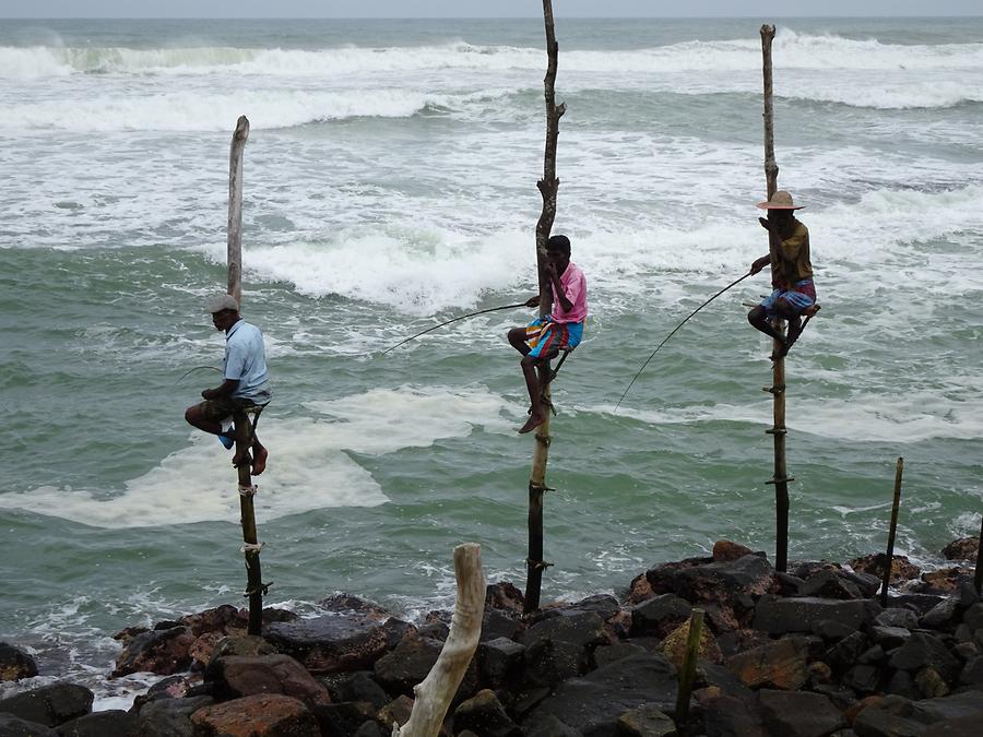 South Coast - Stilt Fishermen