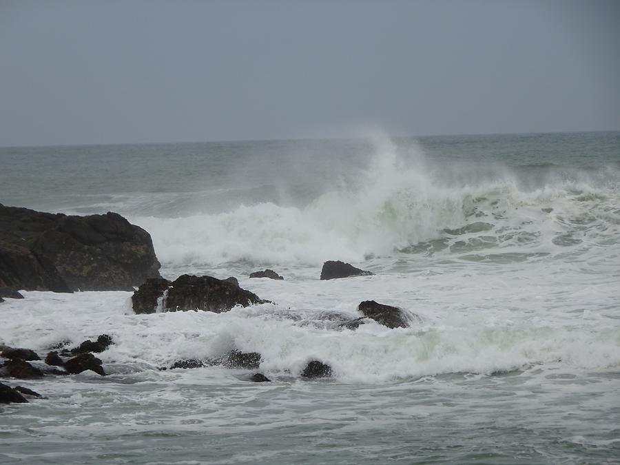 South Coast near Matara