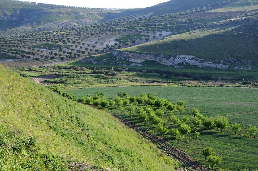 Landscape near Ain Dara