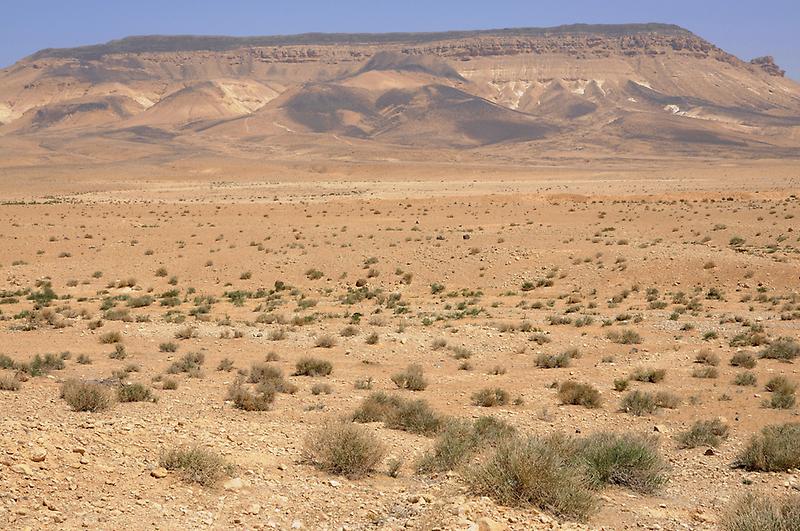 Landscape near Palmyra